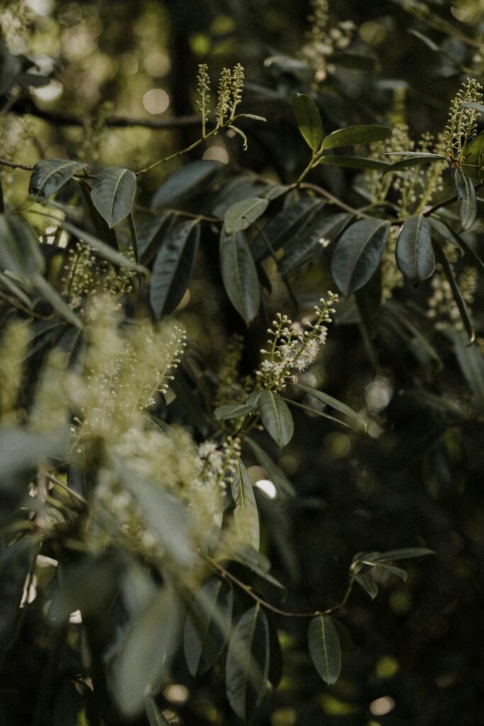 Featured Image 2 683x1024